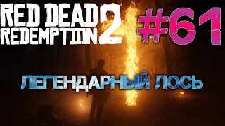 #61 Прохождение без комментариев RDR 2. Легендарный лось