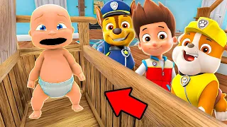 Baby and PAW PATROL Play Hide and Seek!