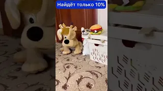 СМОЖЕШЬ НАЙТИ НАСТОЯЩУЮ СОБАКУ??? (Часть 4)