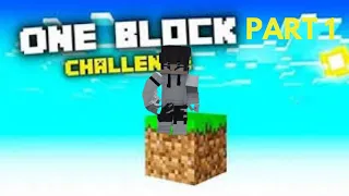 MINECRAFT ONEBLOCK CHALLENGE ||| PART 1 #gamerfleet #technogamerz #yessmarty