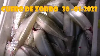 pesca pejerrey en  cuero de zorro  30 de enero 2022