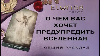 О ЧЕМ ВАС ХОЧЕТ ПРЕДУПРЕДИТЬ ВСЕЛЕННАЯ | Расклад Таро, Гадание Онлайн