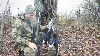 СТОЛЬКО ТЕТЕРЕВА Я ЕЩЕ НЕ ВИДЕЛ. ОХОТА СРЕДИ СТАЙ ПТИЦ С МЕЛКАШКОЙ.