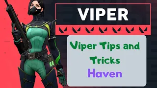 How I climbed Ranked to Immortal. Viper Tips and Tricks on Haven