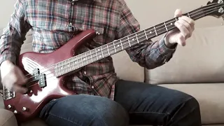 The Stooges - Search and Destroy (bass cover)