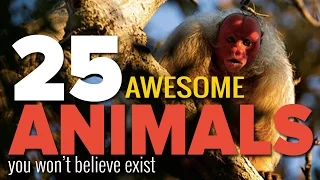 25 Awesome Animals You Won't Believe Exist