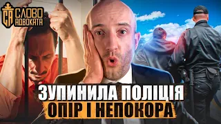 Поліцейське затримання 📌Коли можна чинити опір поліції 📌Що таке злісна непокора