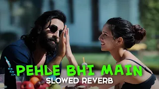 PEHLE BHI MAIN [ SLOWED REVERB ] | RANBIR KAPOOR, TRIPTI DIMRI | ANIMAL | PEHLE BHI MAIN LOFI