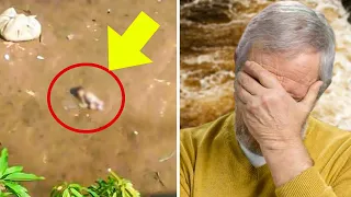 A fisherman caught something rare. Half an hour later, he cried a lot when he discovered that...