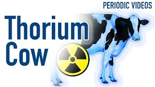 Milking the Thorium Cow - Periodic Table of Videos