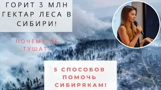 Почему МЧС не тушит пожары в Сибири? 5 способов помочь решить проблему!