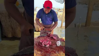 Amazing Fastest Tuna Fish Cutting Skill | #fishcuttingshorts