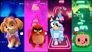 PAW Patrol Skye Vs Angry Birds Red Vs Bluey Vs Cocomelon - Tiles Hop EDM Rush!