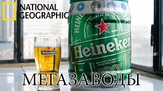 Пиво Heineken. Вкус Пива Который Знают Все! - Мегазаводы | Документальный фильм