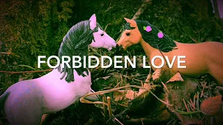 Forbidden Love-- Season 1, Episode 1-- Schleich Horse Movie-- Life in the Herds