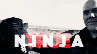 Ninja True: Bujinkan Iceland