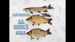 Pescuit La Copca 2021 LA LAC MALEIA - CRAP și ȘTIUCĂ - Activitate MAXIMĂ și Crapi sub Gheață