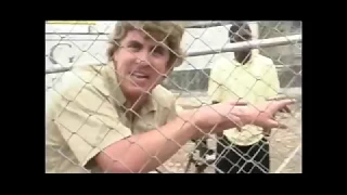 The Bum Hunter: The Bum Cage and The Thief (2001)