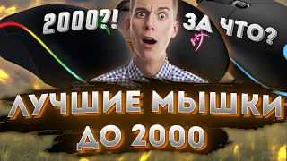 ЛУЧШИЕ МЫШКИ ДО 2000 / НЕДОРОГИЕ ИГРОВЫЕ МЫШИ / БЮДЖЕТНЫЕ ДЕВАЙСЫ / vayoshka