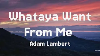 Adam Lambert - Whataya Want from Me (Real-time Lyrics)