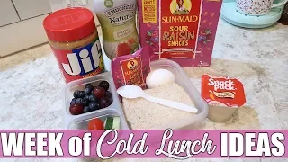 Cold Lunch Ideas for Work & School | What's for Lunch? | August 2019