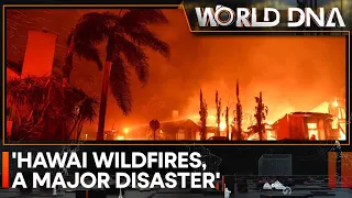 Hawai wildfires: How did the Maui fire start? What we know about the cause of the blaze | World DNA
