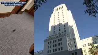 VIDEO: Rat scurries through part of LA City Hall amid typhus issue | ABC7
