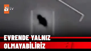 Uzayda gizemli keşif - atv Haber 31 Ocak 2022