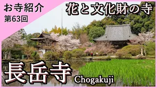 【お寺紹介63】長岳寺・奈良 －花と文化財の寺－ 14分でお寺を案内します。