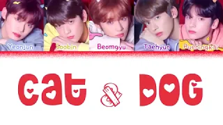 TXT (투모로우바이투게더) - 'CAT & DOG' (멍 version)(Color Coded Lyrics Eng/Rom/Han/가사)