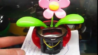 flip flap solar powered flower.mpeg