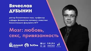 Вячеслав Дубынин. Мозг: любовь, секс, привязанность