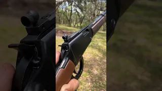 Henry .22 Magnum Small Game Carbine🤠💥 #hunting #shooting #shorts #viral #outdoors #america