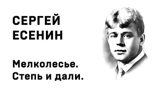 Сергей Есенин Мелколесье  Степь и дали Учить стихи легко Аудио Стихи Слушать Онлайн