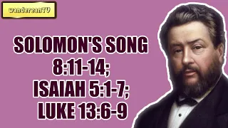 SOLOMON'S SONG 8:11-14; ISAIAH 5:1-7; LUKE 13:6-9 || Charles Spurgeon - Volume 42: 1896