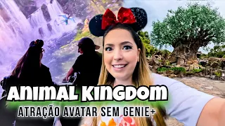 ORLANDO: É POSSÍVEL IR NA ATRAÇÃO MAIS CONCORRIDA DO ANIMAL KINGDOM SEM GENIE+ EM JUNHO?