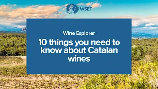 Wine Explorer - 10 things you need to know about Catalan wines