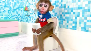 Baby Monkey Chu Chu Goes Toilet And Eating Watermelon With Duckling In The Pool