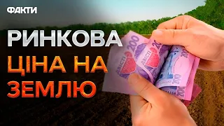 ⚡⚡ Як працюють земельні ОНЛАЙН-АУКЦІОНИ та В ЧОМУ ЇХНЯ ВИГОДА