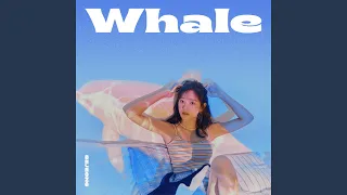 Whale (Whale)