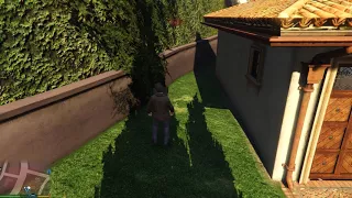 GTA V Michael and Amanda fight