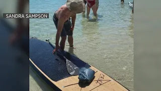 Paddleboarder, dog safe after shark attack off Pacific Grove