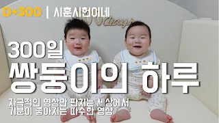 300일 쌍둥이의 하루, 자극적인 영상만 판치는 세상에서 기분이 좋아지는 따수한 영상😝