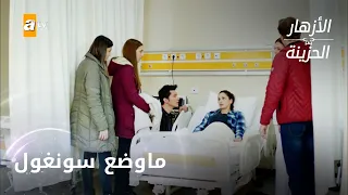 سونغول تدخل المشفى فجأة - الحلقة 245 - الأزهار الحزينة