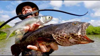 Solo Survival BOWFISHING COD Catch & Cook LIVING off the LAND! (RIVER MONSTERS)