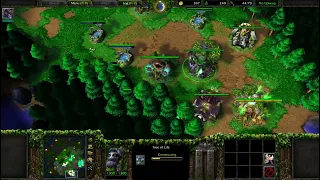 2v2 With Insane AI - Level 10 Demon Hunter, Level 10 Keeper of the Grove - Warcraft 3: Reforged