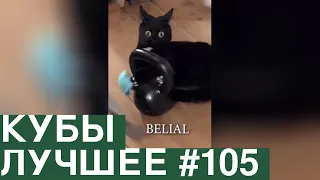 Best Coubs | Кубы лучшее #105