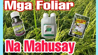 MGA FOLIAR NA MAHUSAY SA PALAY AT GULAY