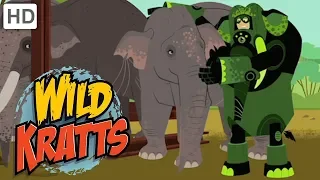 Wild Kratts 🐘 Elephant Creature Powers! | Kids Videos