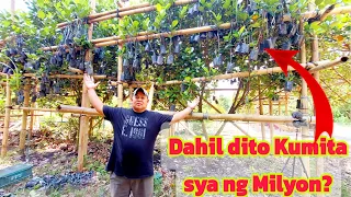 Langka Farmer Instant Kumita ng Milyon? Secrets Revealed